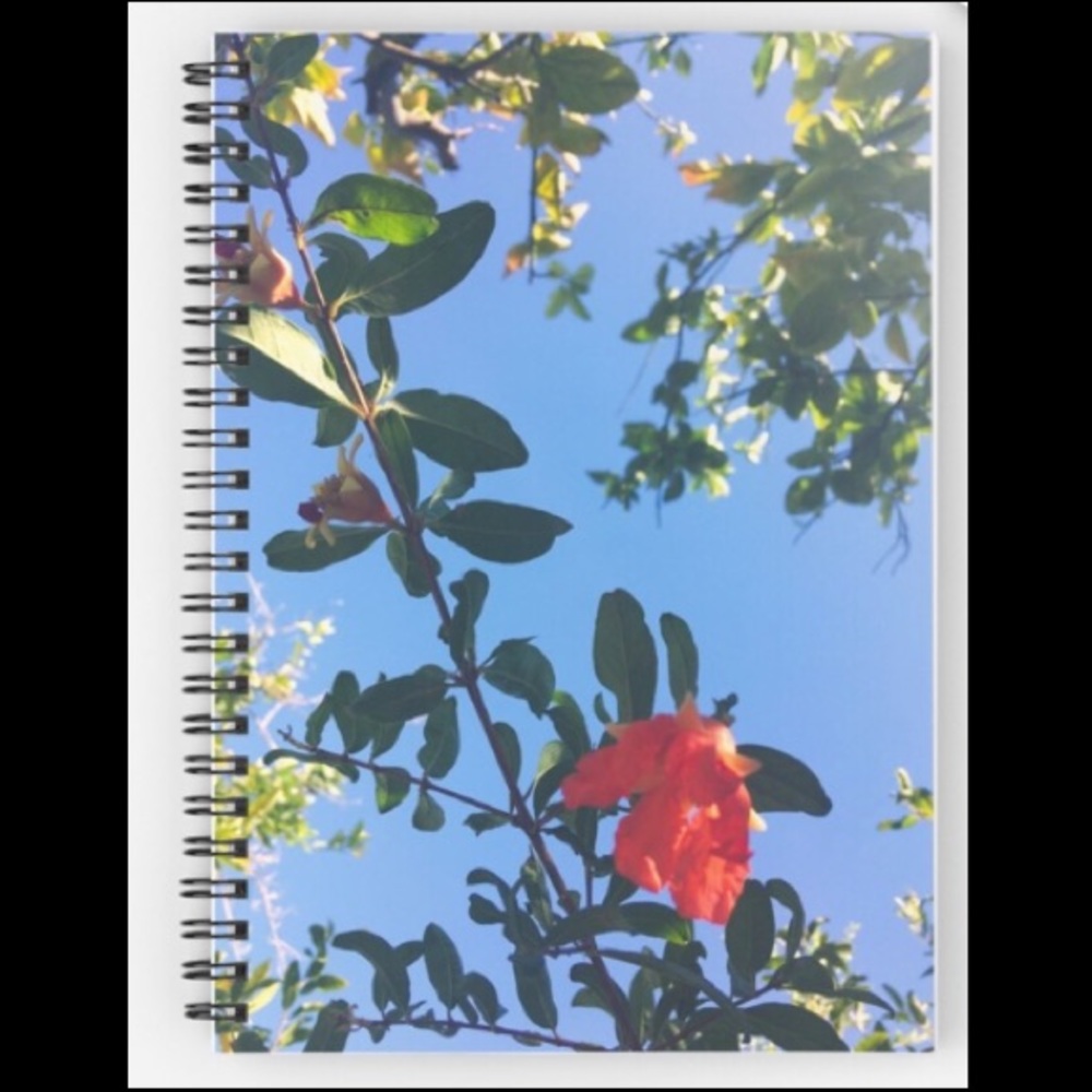 Pomegranate blossom collection